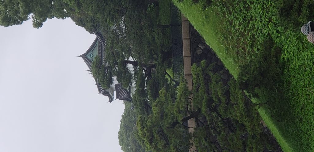 《日本随团游-第二天》